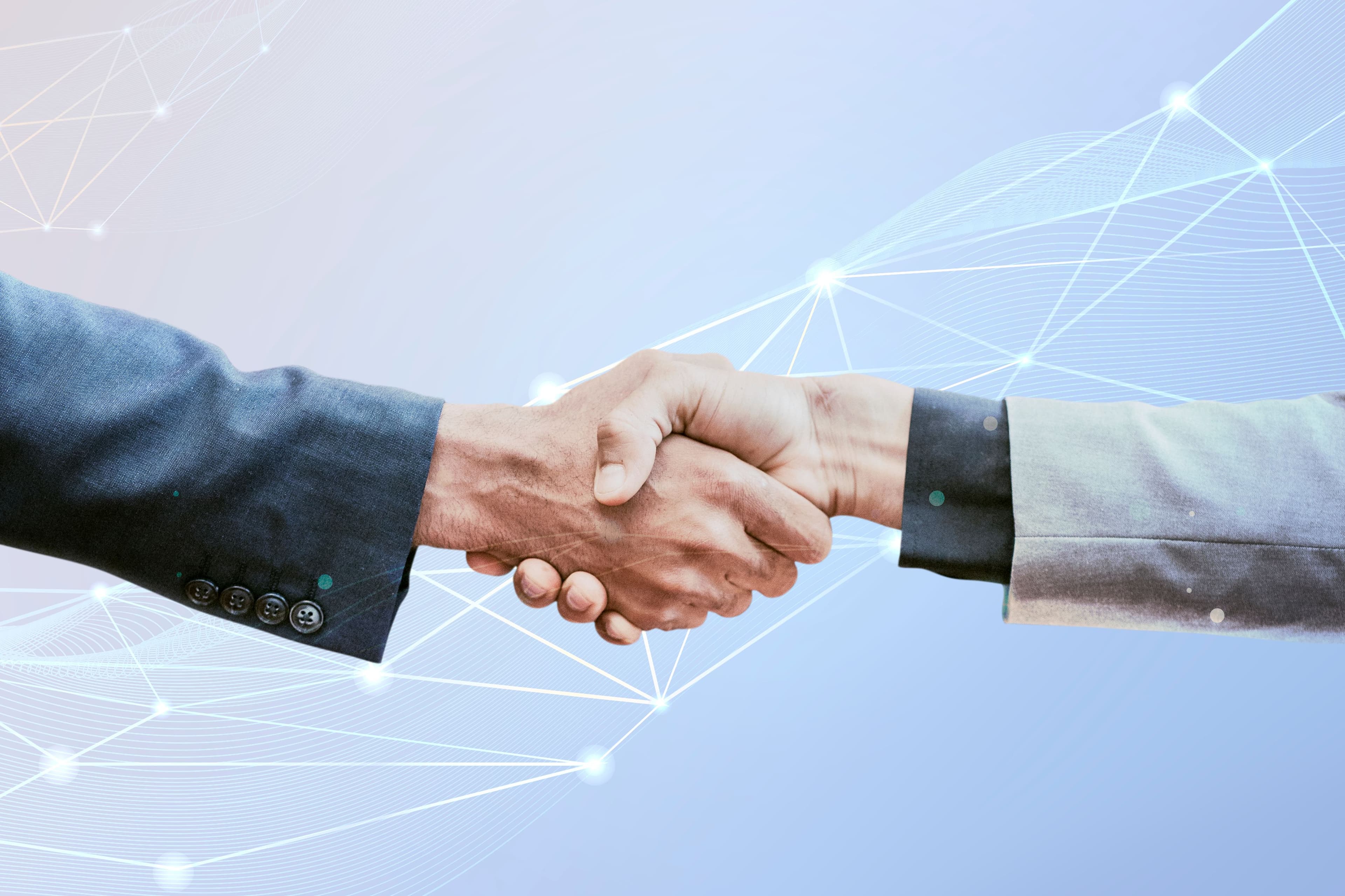 Link Building in the Qatari Context: Partnerships with Local Websites